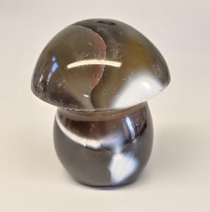 Champignon agate