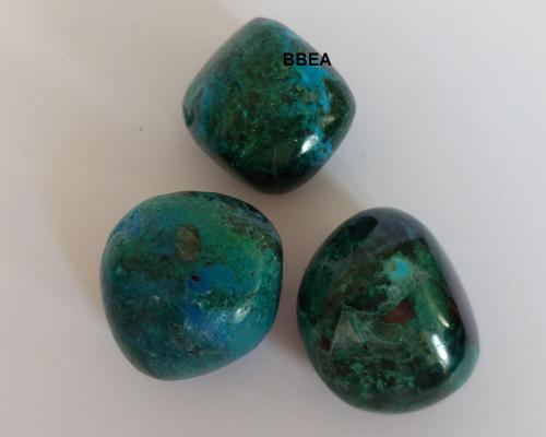 Chrysocolle 1