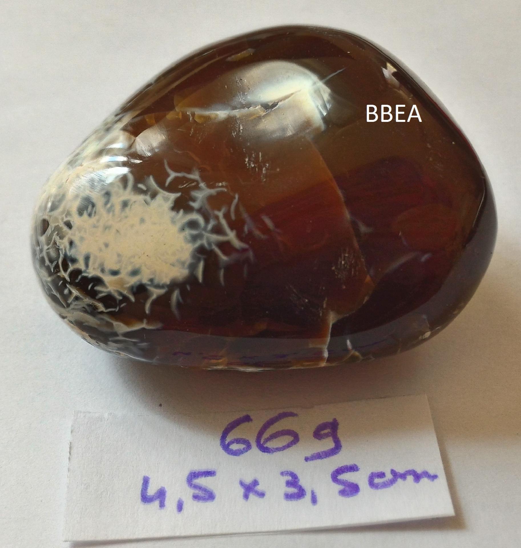 Cornaline 66g 4 5x3 5cm 2