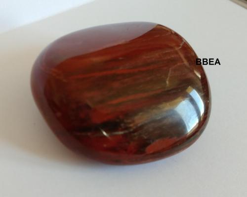 Galet bois fossilise