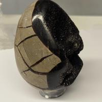 Oeuf septaria