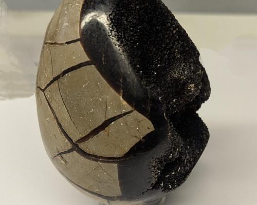 Oeuf septaria