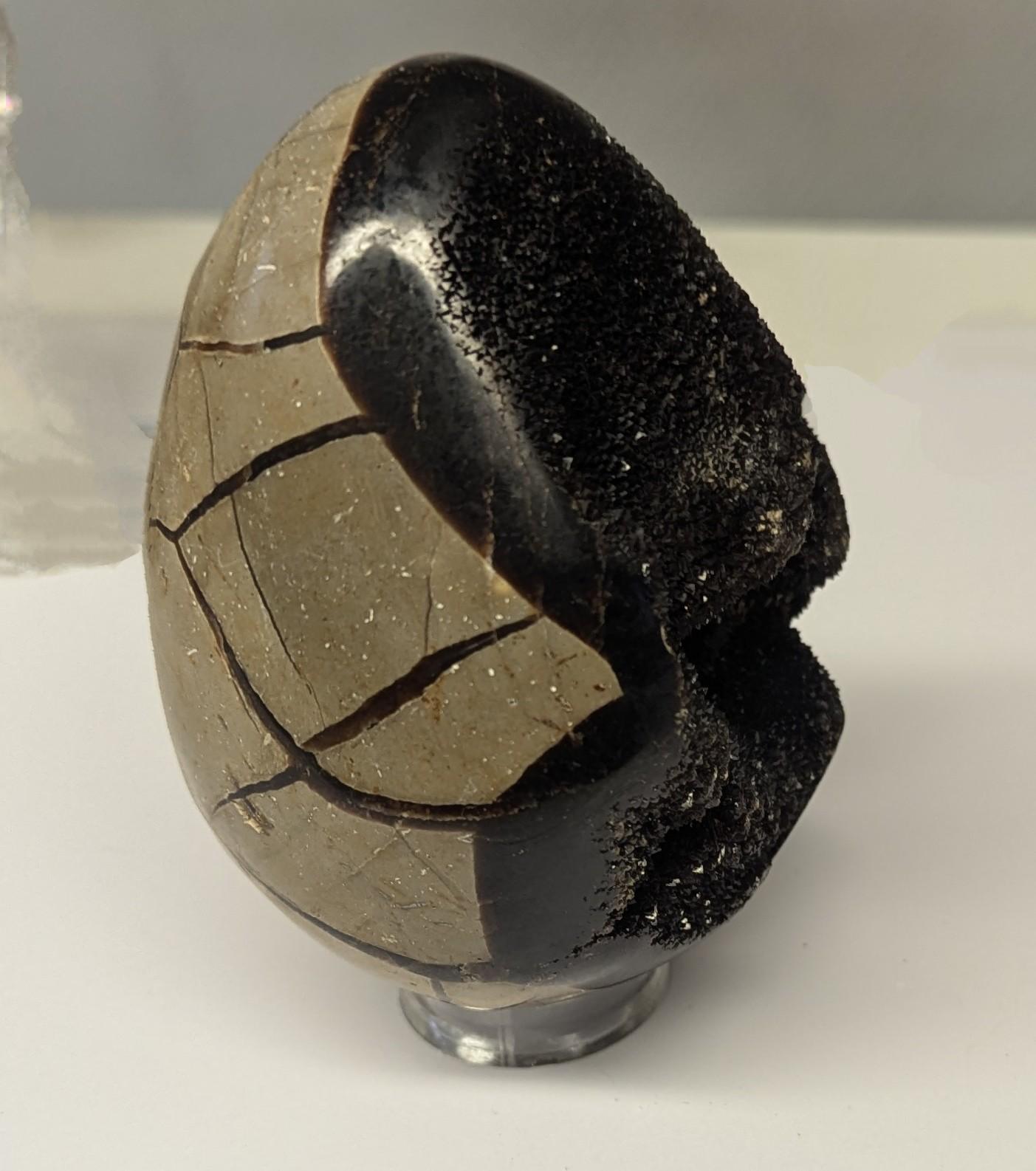 Oeuf septaria
