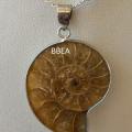 Pendentif ammonite 2