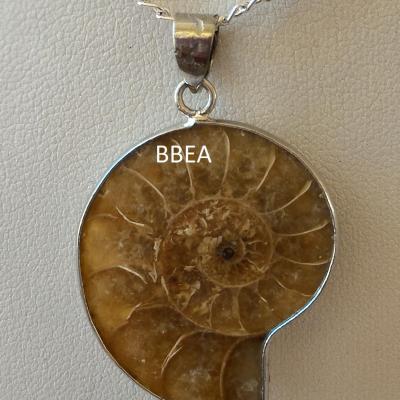 Pendentif ammonite