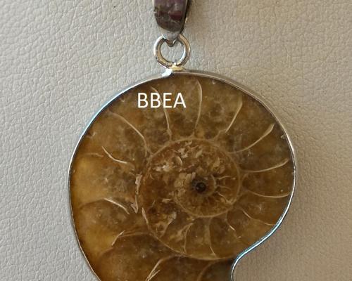 Pendentif ammonite