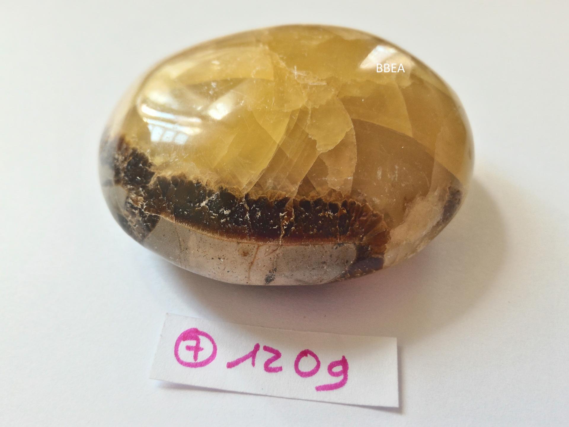 Septaria 7 2