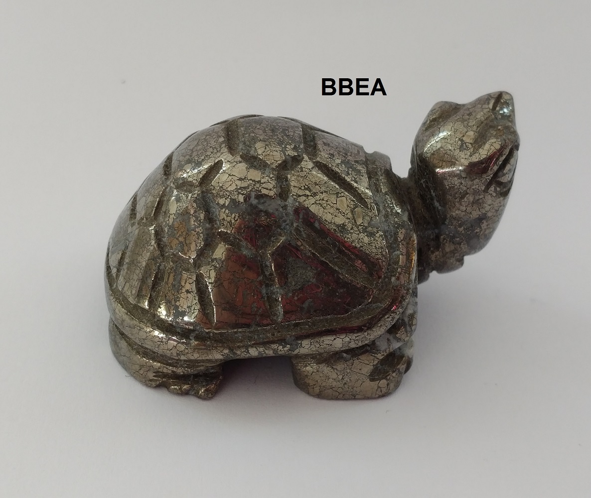 Tortue pyrite 2