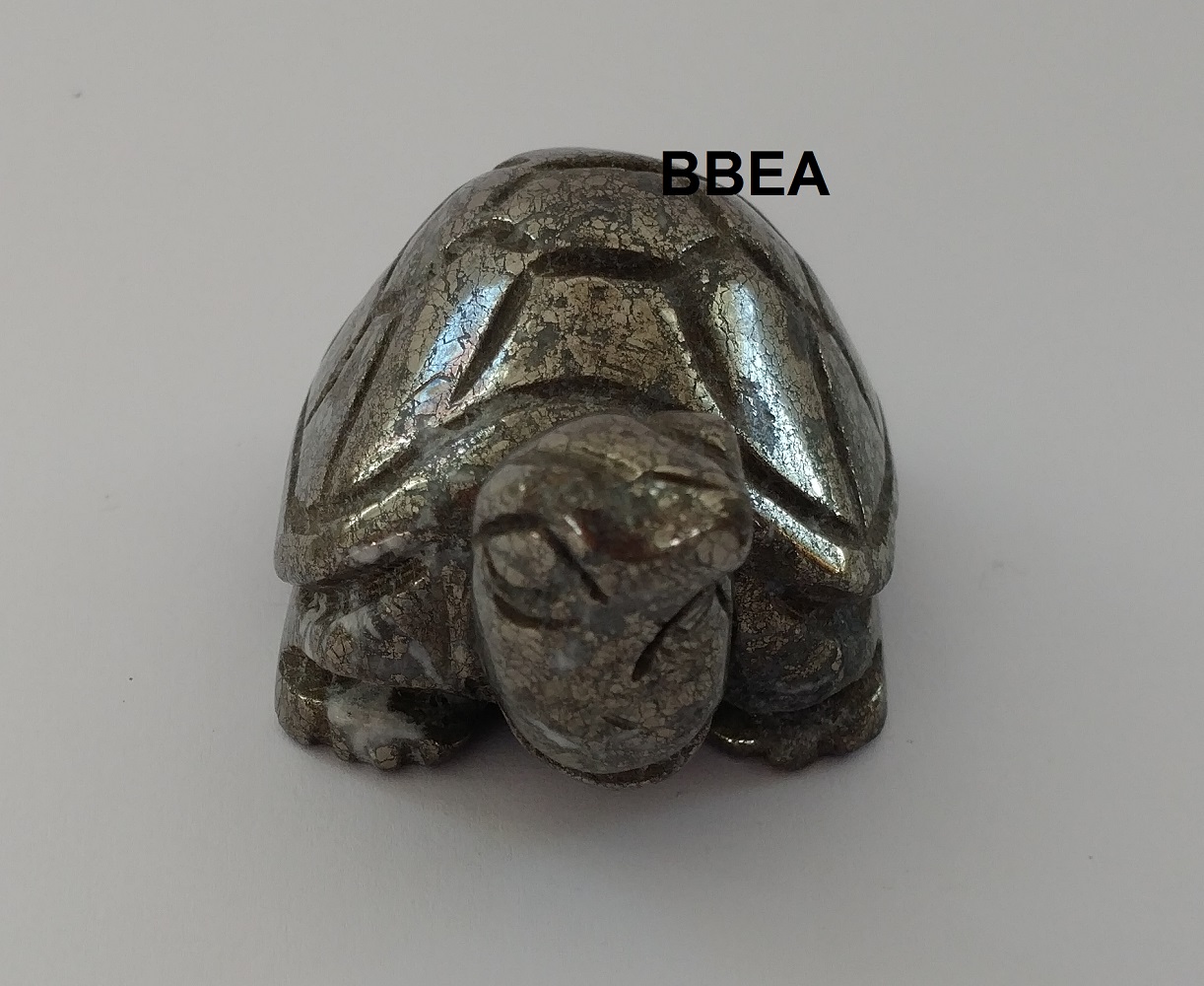 Tortue pyrite 3